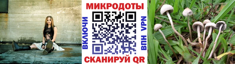 Псилоцибиновые грибы прущие грибы  даркнет официальный сайт  Россошь 